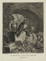 TvB G 4380
<br/>
Roofvogels (uit een serie van vier)
<br/>
<em>Ridinger, Martin Elias (ca. 1730-1780)</em>